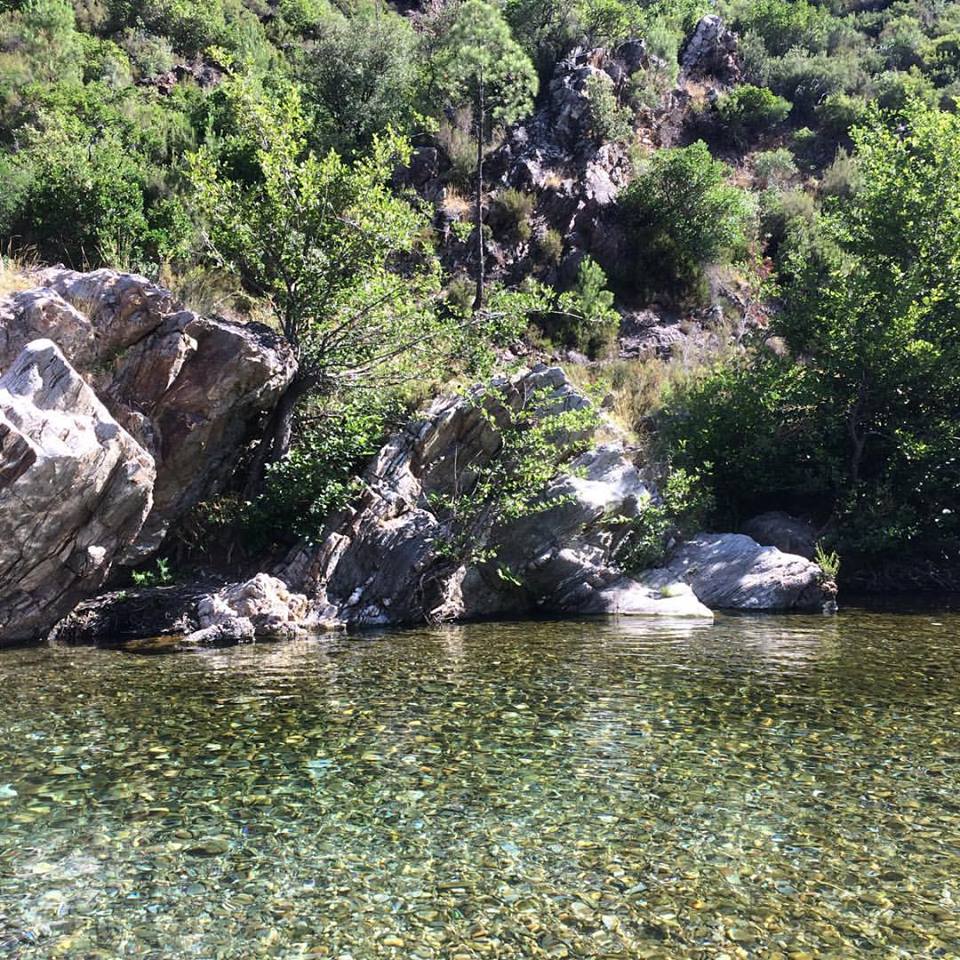 South of France, 2017.