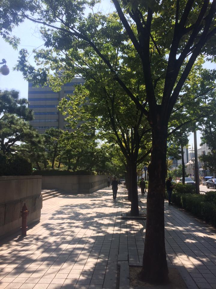 Seoul, 2017.